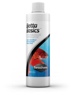 Betta Basics