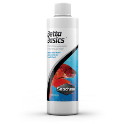 Betta Basics